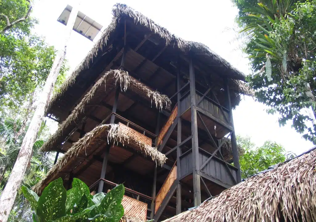 Wooden observation tower at Tapir Lodge rising above the jungle canopy in the Cuyabeno Reserve.