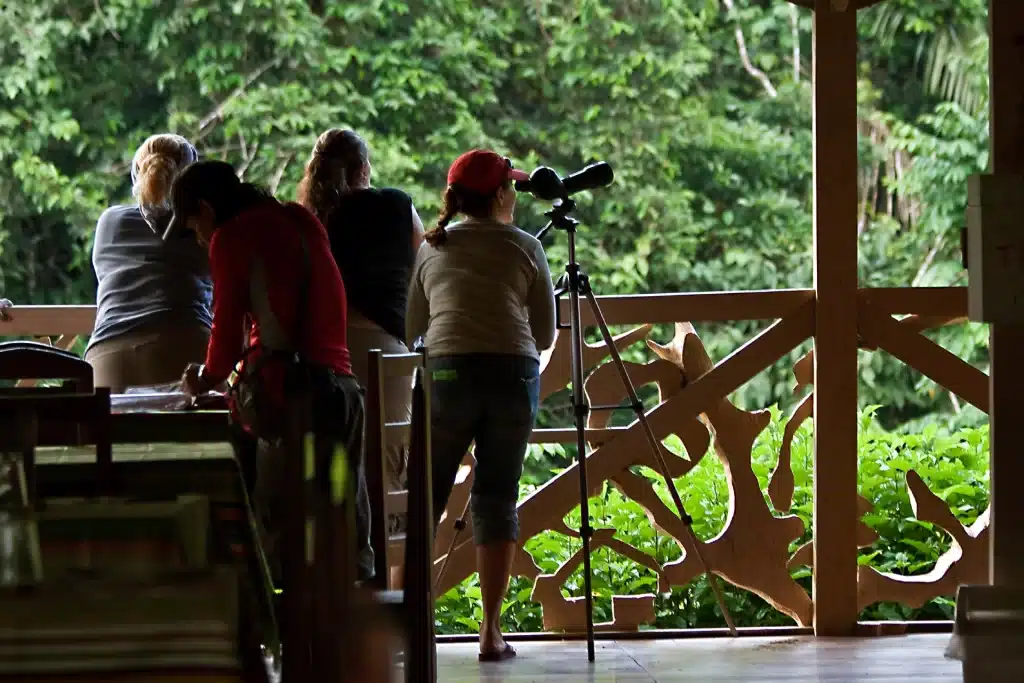 A group of tourists standing on a high wooden observation deck, gazing out over the endless, unbroken jungle canopy of Yasuní National Park.
