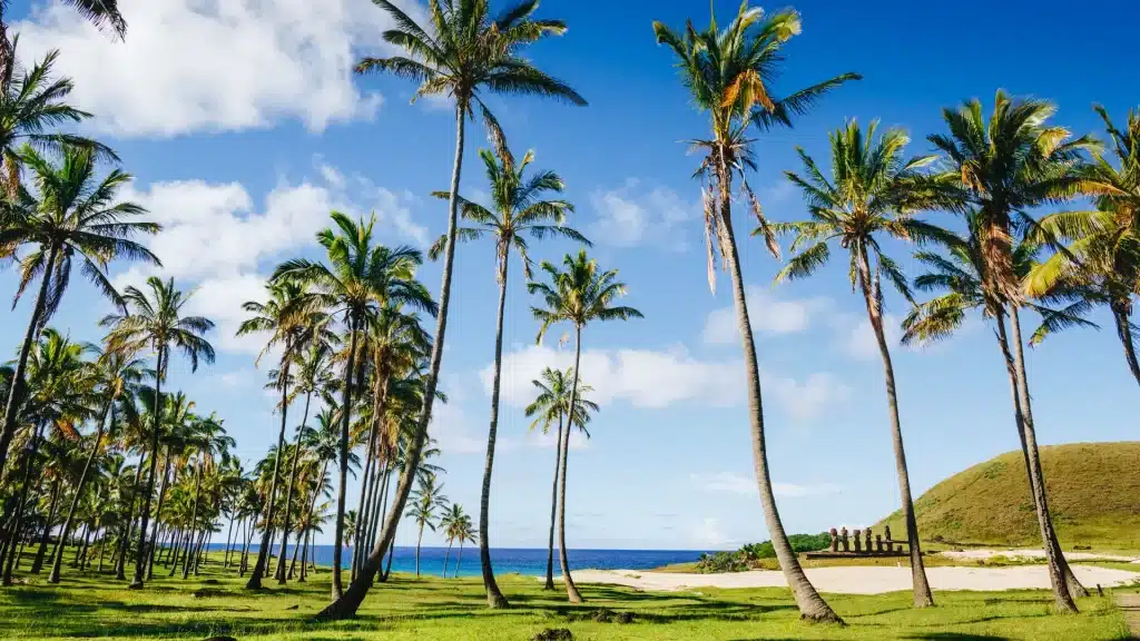 Natural landscape of Easter Island with palm trees, open grasslands, and distant stone giants near the coastline.