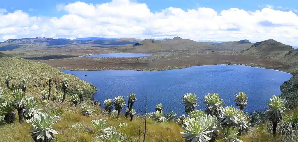 El Voladero Lake surrounded by páramo landscape in El Ángel Ecological Reserve